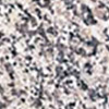 Granit 3
